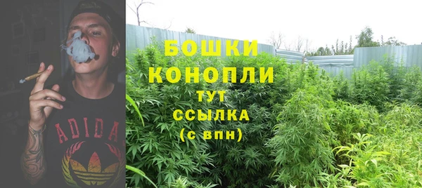 индика Арсеньев